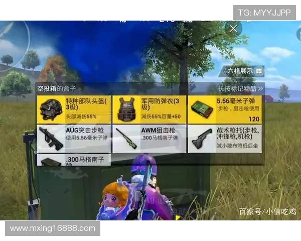 和平精英究竟何时上线？它的发展历程你了解多少？